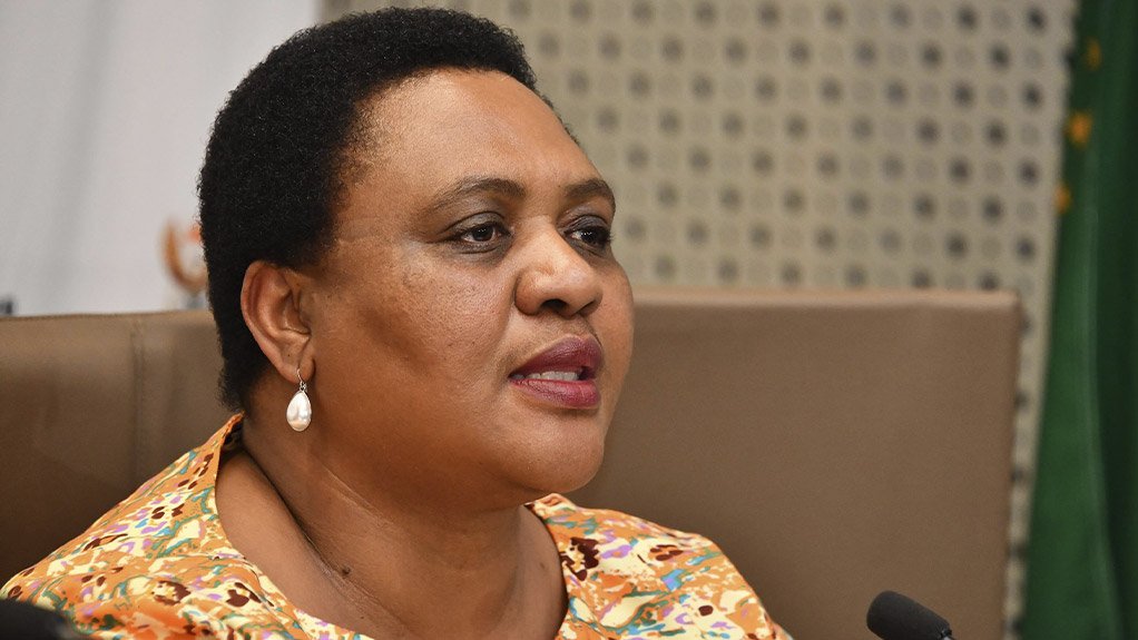 Thoko Didiza