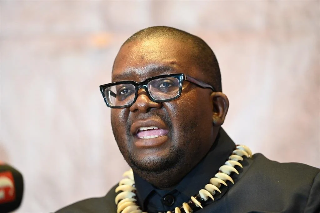 Thulasizwe Buthelezi - Source: News24