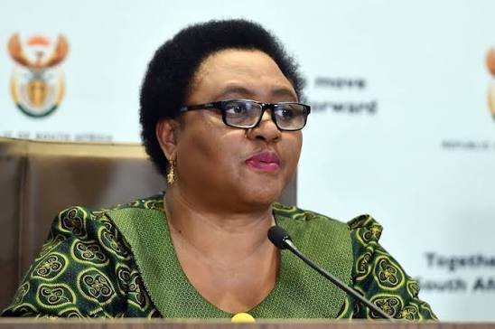 Thoko Didiza - Source: Business Day