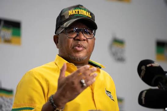 Fikile Mbalula