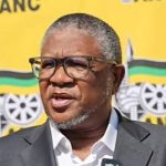 Fikile Mbalula