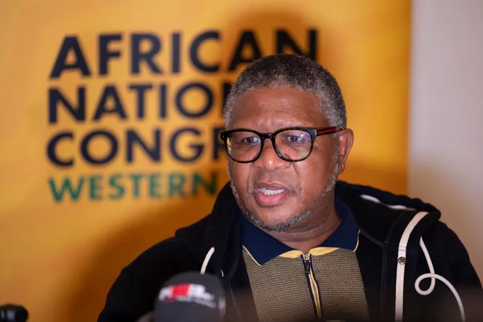Fikile Mbalula