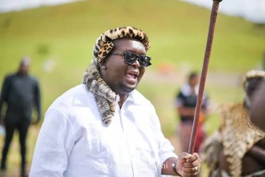 Thulasizwe Buthelezi